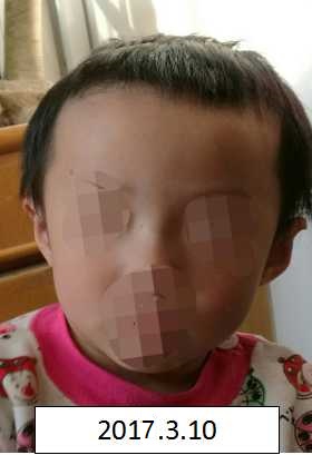 操逼逼在线看